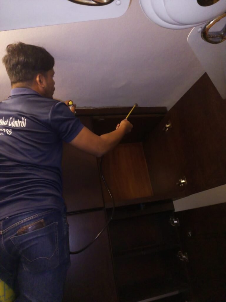 Why Choose Professional Pest Control Services?